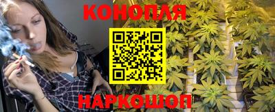 дмт Бузулук