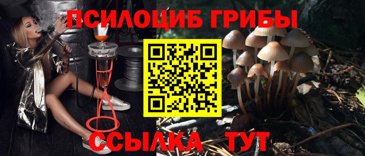 Псилоцибиновые грибы мухоморы Краснодар