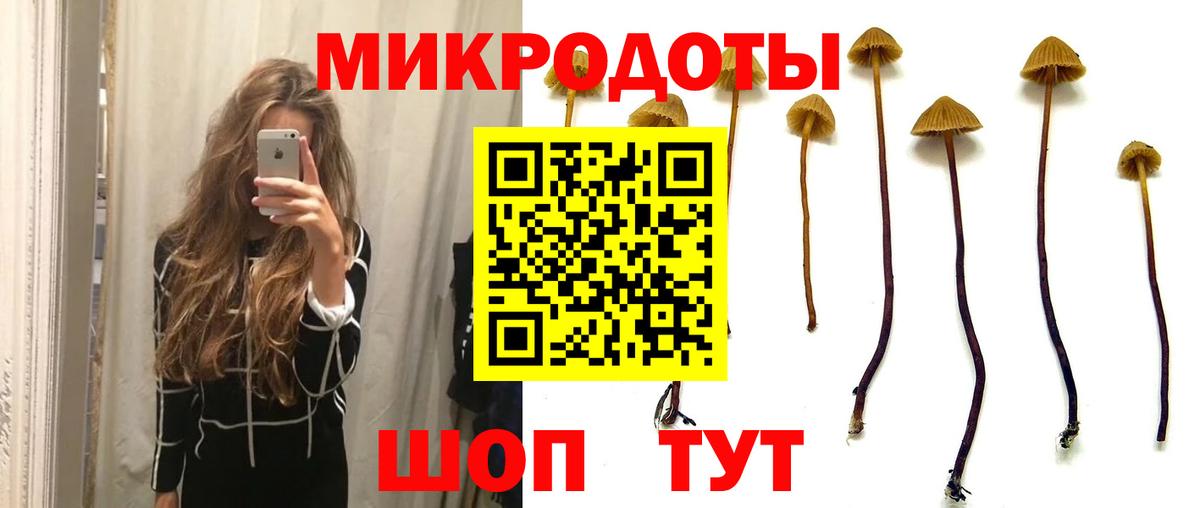цена   Вход с VPN  Краснодар  Галлюциногенные грибы прущие грибы  Псилоцибиновые грибы прущие грибы 